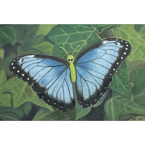 Denise Luise Art